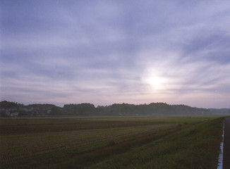 japan landscape tree sky land