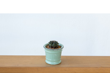 Beautiful cactus in pot put on wood table with Stay home.