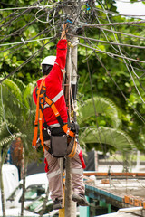 
electrician in daily electrical repair work on power pole