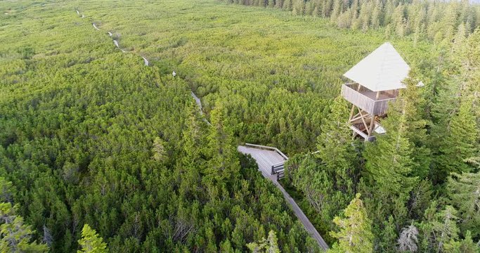 Aerial: A lookout tower at the Lovrenc lakes (Lovrenska jezera) marshlands near Rogla, Slovenia
