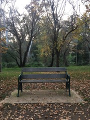 bench in autumn park