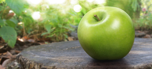 Perfect  Green Apple Isolated. Full Depth of Field with Clipping Path