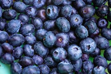 blueberries