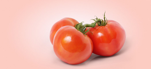 Tomato with clipping path. Full depth of field