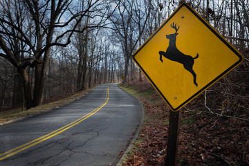 Traffic Sign 