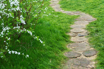 Path in Ornate Flower Garden. Natural background