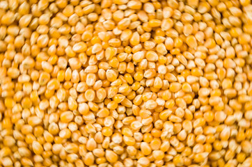 Beautiful background of popcorn for various uses.