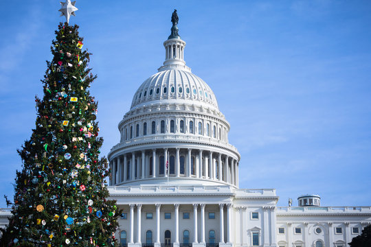 United States Capitol Building in Washington, DC,with festive, decorated Christmas Tree on a sunny Day with blue Sky