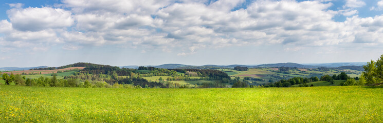 Panoramic view of spring landscape with green meadows