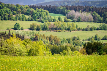 Spring landscape with green meadows and trees