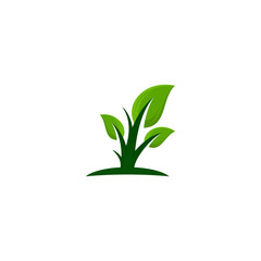 Fototapeta na wymiar Natural leaf, eco flower icon symbol design vector illustration