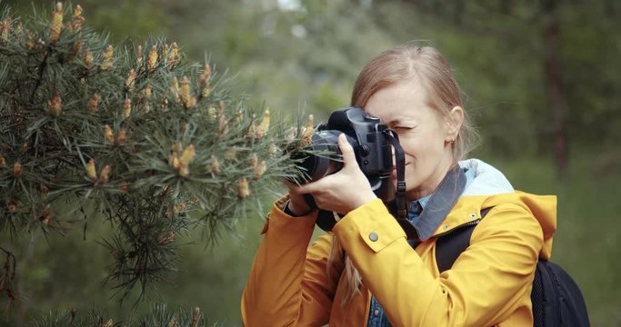 Mature female photographer with blond hair standing near pine tree and taking pictures of small cones. Concept of wild life, adventure and photography