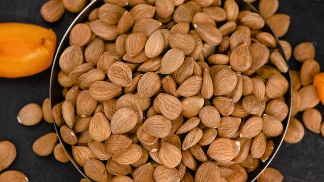 Some shelled Apricot Kernels on a rotating plate (seamless loopable)