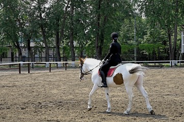 The young jockey conducts classes in the paddock Dressage.
