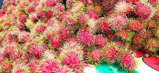 Fresh rambutan from the garden, ready to deliver to the market for sale in Thailand