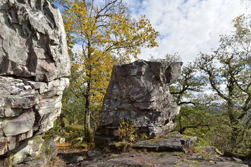 Traumschleife Kirschweiler Festung im Nationalpark Hunsrück-Hochwald