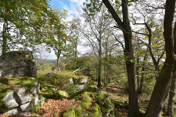 Traumschleife Kirschweiler Festung im Nationalpark Hunsrück-Hochwald