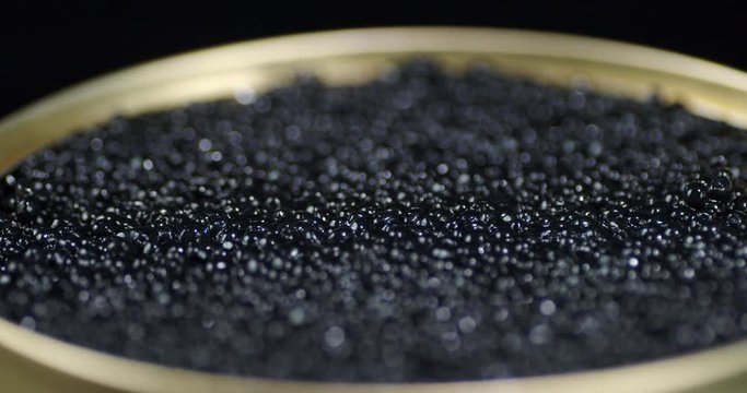 Tin of black caviar rotates slowly.