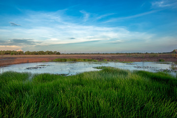 Thailand, Pond, Construction Industry, Aerial View, Blue