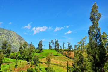 very beautiful natural scenery in the tourist area of BROMO - TENGGER, with a volcano that is well known throughout the world, namely BROMO MOUNTAIN