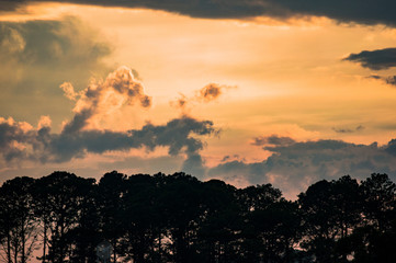 Una pintura hermosa de la naturaleza.