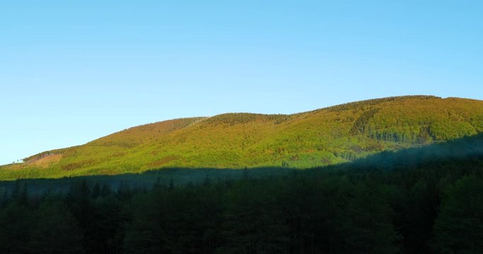 The tops of the hills covered with coniferous trees during a sunny day full of shadows of the Beskid region.