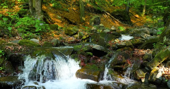 Zooming in mountain stream in the middle of the protected area of the Beskydy Lysa flowing from a steep slope along the rocky subsoil in slow motion.