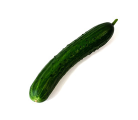 Isolated on white background cucumber