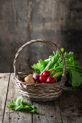 fresh garden vegetables in a basket on a dark background, place for text