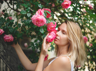 Naklejka premium blond woman smiling in a flowering bush of pink roses