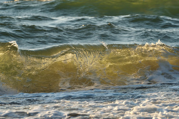 Sea or ocean, waves close-up view. Green - yellow waves sea water