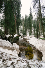 river in winter
