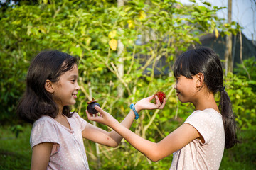 Fototapeta premium Two girls change her fruit in the garden theme