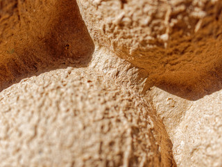 Bubble carton for fragile goods. Macro image. The texture and fibers of the cardboard are clearly visible.
