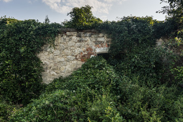 overgrown part of an old house with lots of green plants