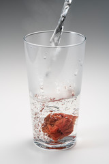 焼酎 お湯割り 梅干し