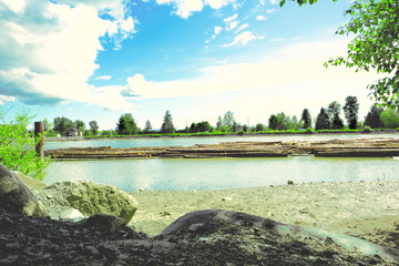 river bank with floating logs and blue clear sunny sky