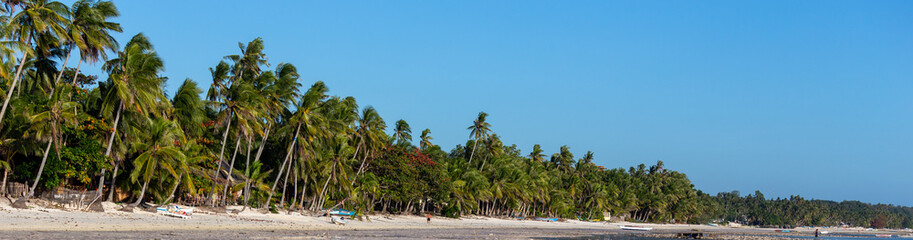 Panoramic view of white beautiful beach with palm trees and shallow water