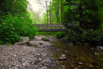 walking bridge above river or stream in park