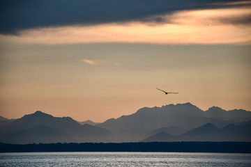 sunset over the sea with mountains in seattle washington