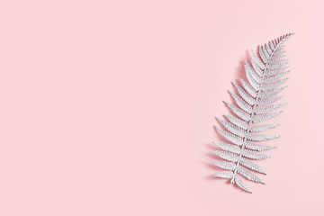 minimalistic composition. a beautiful silver fern leaf on a peach-colored background. space for...