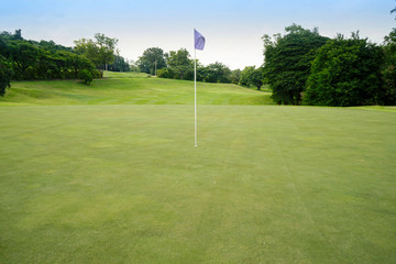 Obraz premium Beautiful golf course in a sunny day. Background evening golf course has sunlight shining down. Golf course in the countryside.