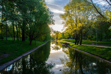 Sunny summer park with a river in the evening at sunset