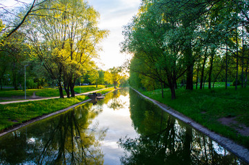 Sunny summer park with a river in the evening at sunset
