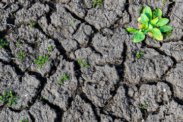 Soil erosion background