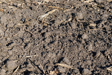 Soil with mineral fertilizer