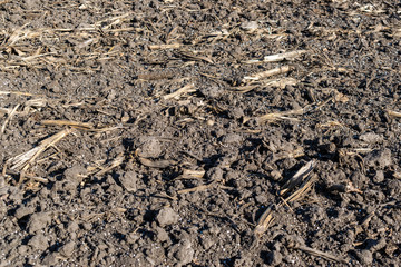Soil with mineral fertilizer