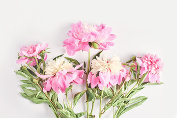 a summer bouquet. pink flowers on a white background. flat lay, top view