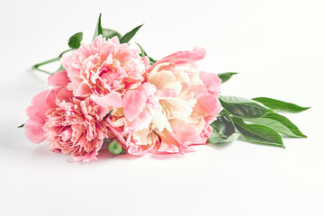 beautiful bouquet of peonies close-up on a white background. soft focus