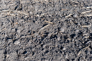 Soil with mineral fertilizer